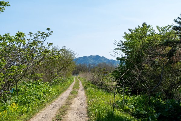 두 갈래로 나뉜 길